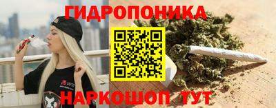 a pvp Славгород